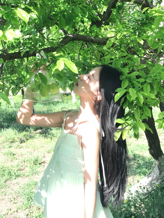 这个杀手不太冷静2 封面