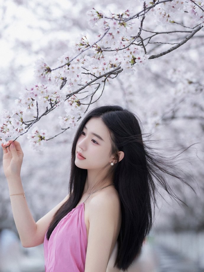 风骚律师 封面