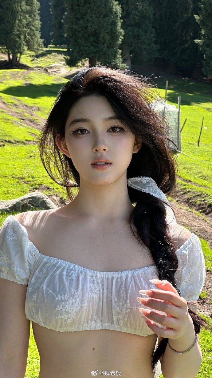 风骚律师