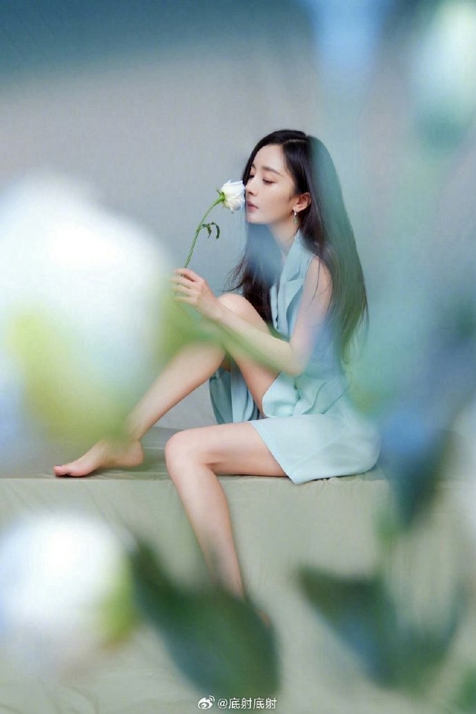 东邪西毒 封面